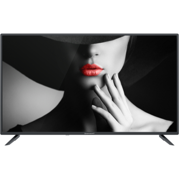 Televizor LED Non-Smart TV 40HL4300F/C 101cm 40inch FHD Black