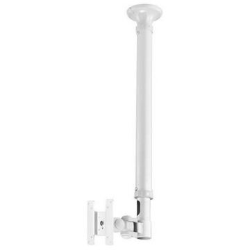 Suport Tavan NewStar FPMA-C100WHITE, 10inch - 30inch, 12 Kg (Alb)