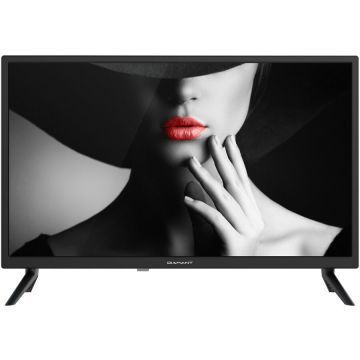 Televizor LED Diamant 24HL4300H/C, 60 cm, HD, Clasa E