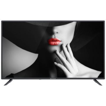 Televizor Diamant 40HL4300F/C, 101 cm, Full HD, Clasa E