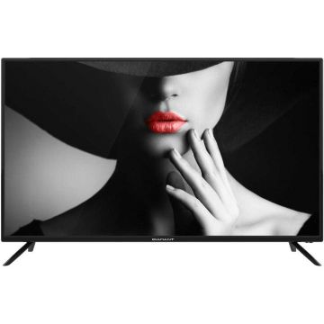 Televizor LED, Diamant 40HL4300F, 101 cm, Full HD