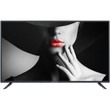 Horizon Televizor LED Diamant 40HL4300F/C, 101 cm, Full HD, Clasa E